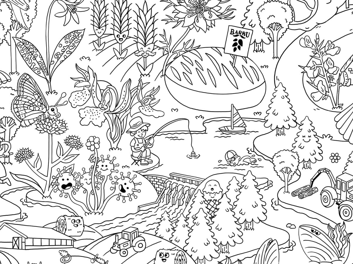 CARTE COLORIAGE 1 - 3 - SITE WEB